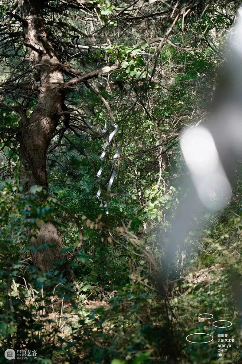 大地艺术节开幕|在阿那亚·金山岭,与艺术不期而遇 视频资讯 aranya 阿那亚 金山岭 艺术 山川 山谷 暑气 内心 世界 天光 云影 崇真艺客